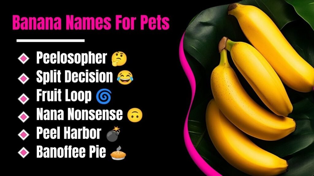 998+ Funny Steam Names For Girls, Boys, Squads & More