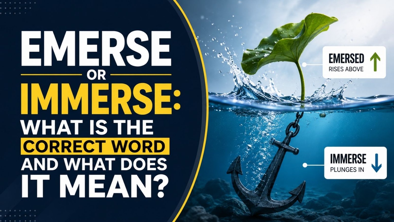 Emerse Or Immerse: What Is the Correct Word And What Does It Mean?