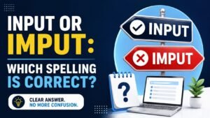 Input Or Imput: Which Spelling Is Correct?