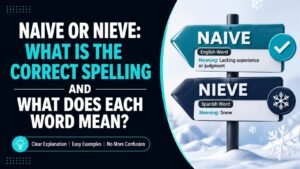 Naive Or Nieve: What Is the Correct Spelling And What Does Each Word Mean?