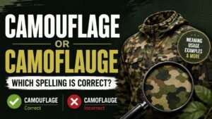 Camouflage Or Camoflauge: Which Spelling Is Correct?