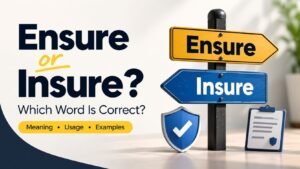 Ensure or Insure: Which Word Is Correct?