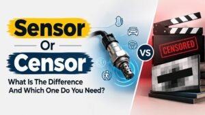 Sensor Or Censor: What Is The Difference And Which One Do You Need?