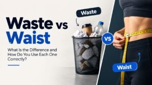 Waste vs Waist: What Is the Difference and How Do You Use Each One Correctly?