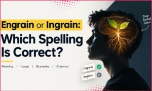 Engrain or Ingrain: Which Spelling Is Correct?