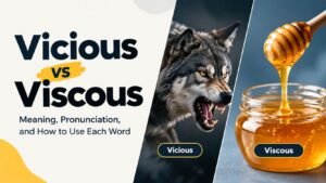 Vicious vs Viscous: Meaning, Pronunciation, and How to Use Each Word